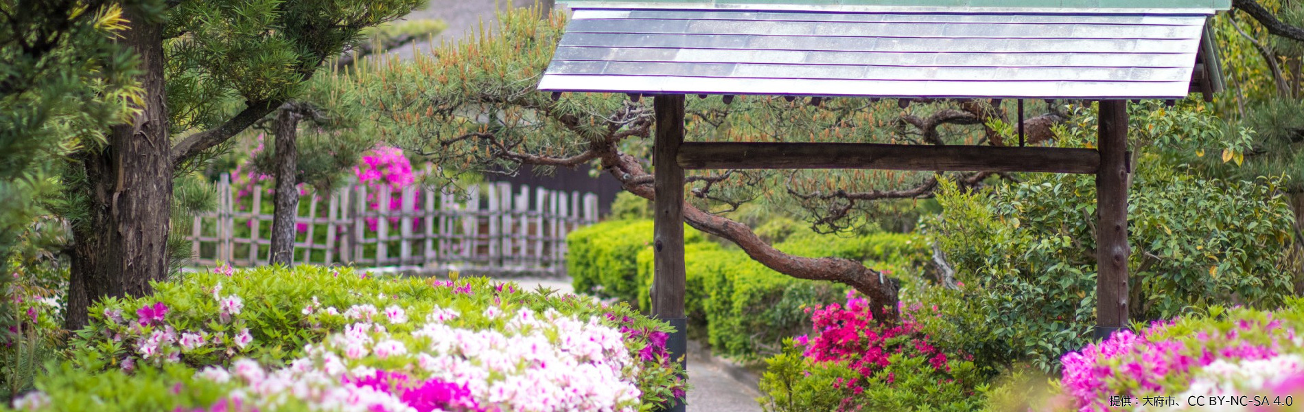 大府コミュニティ推進協議会